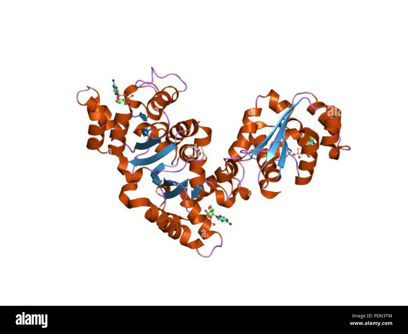 154 PDB 1zs6 EBI Banque D'Images