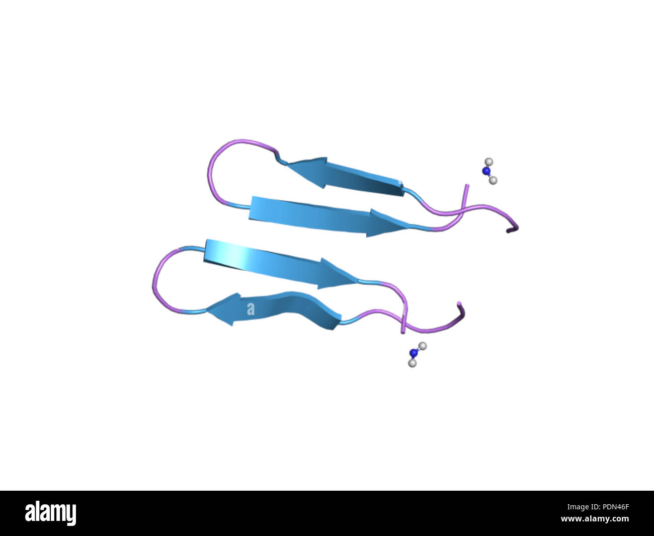 155 PDB 1zy6 EBI Banque D'Images