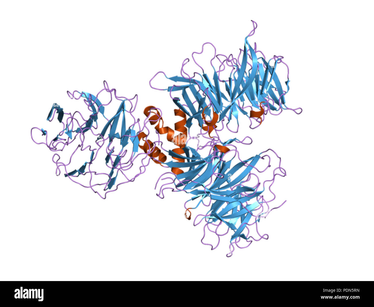 162 PDB 2b5m'EBI Banque D'Images