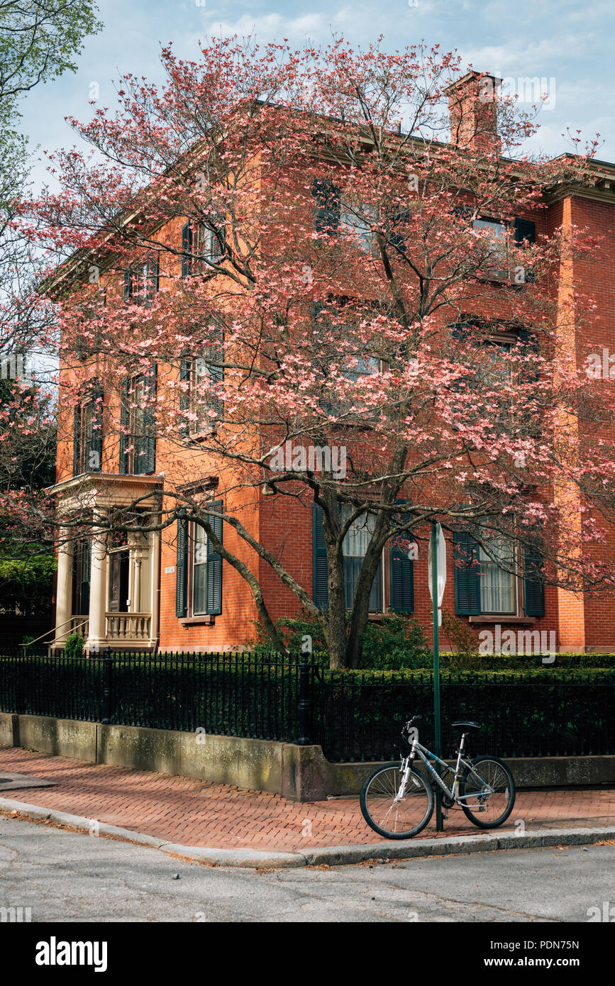 Couleurs du Printemps en College Hill, Providence, Rhode Island Banque D'Images