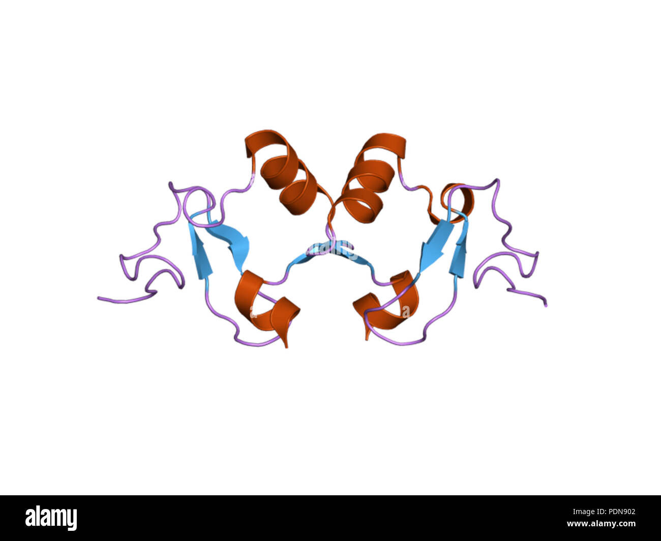 178 PDB 2dx8 EBI Banque D'Images