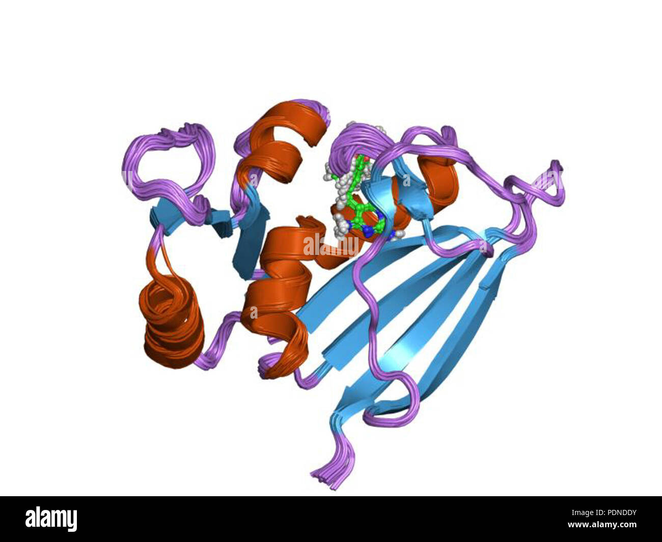 200 PDB 2hm9 EBI Banque D'Images