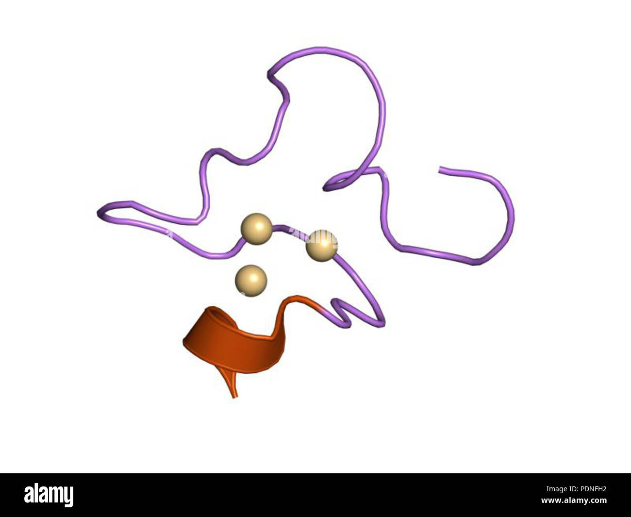 215 PDB 2mhu EBI Banque D'Images