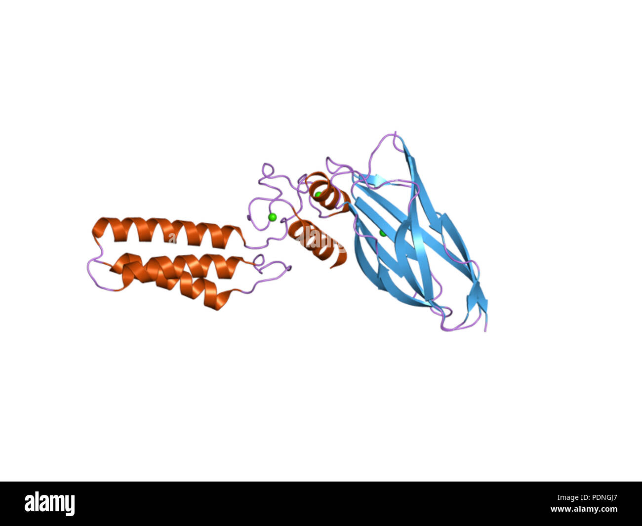 224 PDB 2ozn EBI Banque D'Images