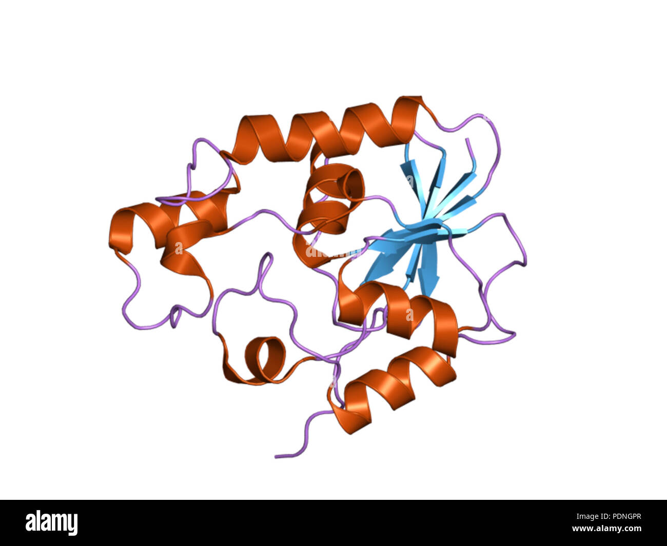 225 PDB 2p30 EBI Banque D'Images