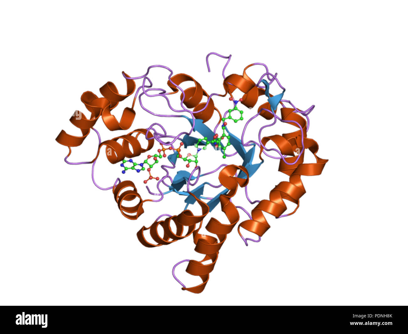 226 PDB 2pdj EBI Banque D'Images