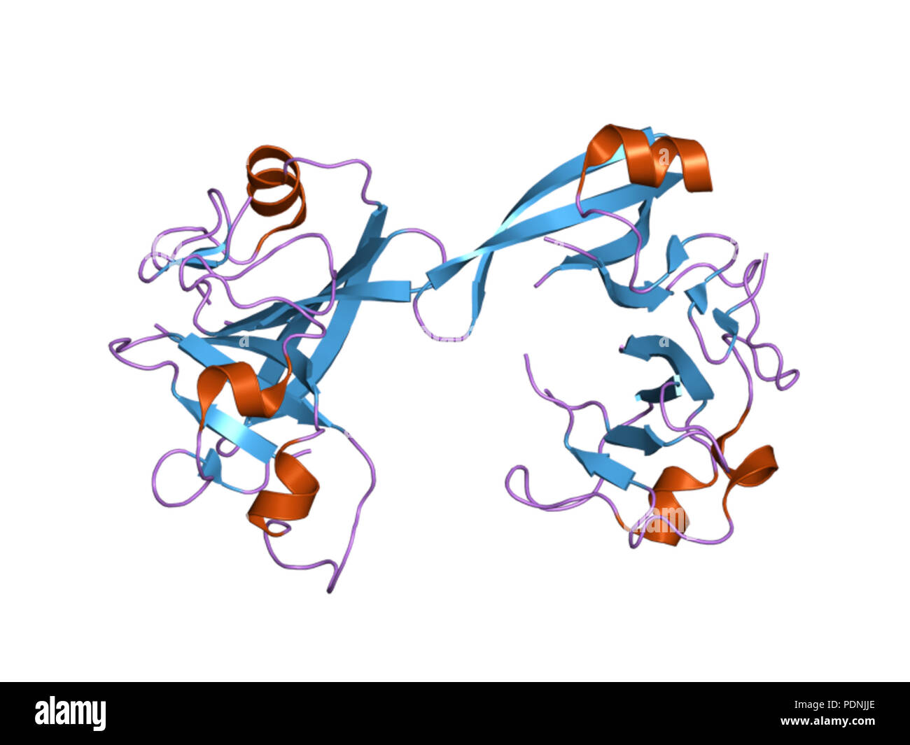 236 PDB 2EBI qzb Banque D'Images