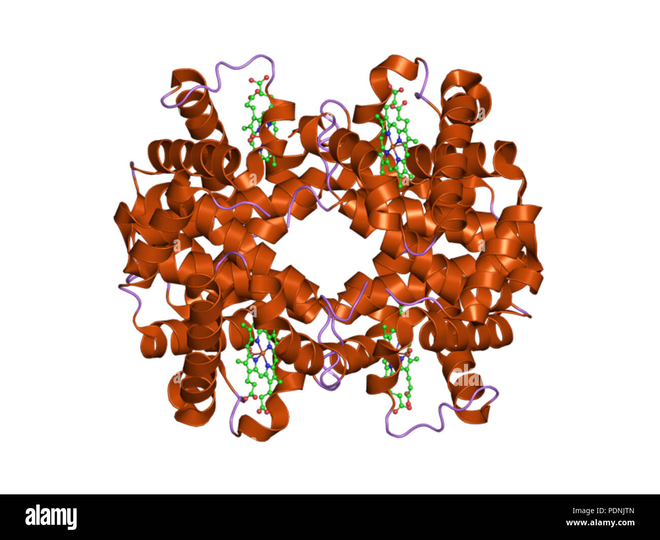 237 PDB 2r80 EBI Banque D'Images