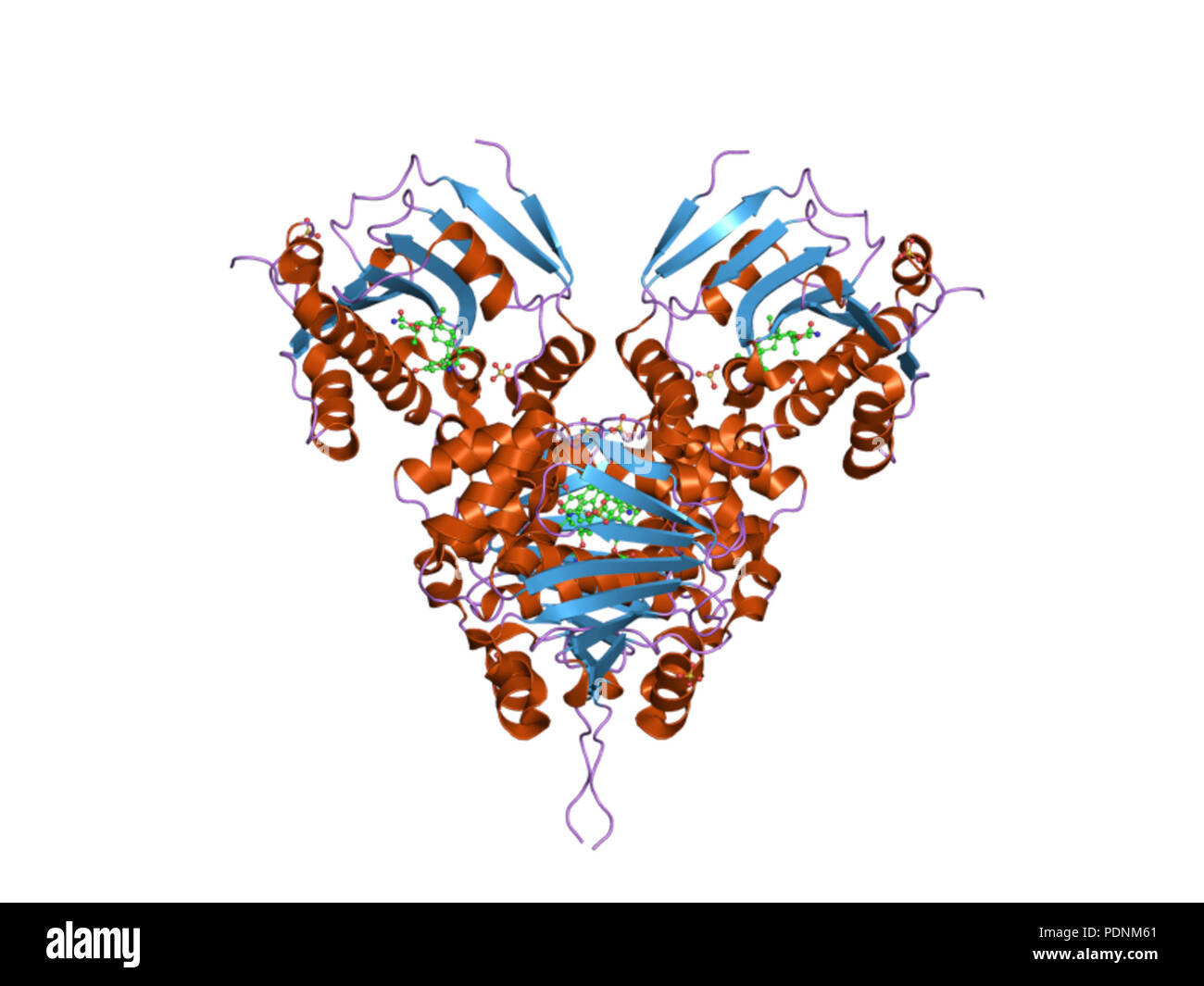 247 PDB 2VW5 EBI Banque D'Images