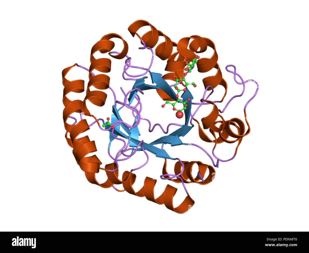 250 La ligue de l'EBI 2PDB Banque D'Images