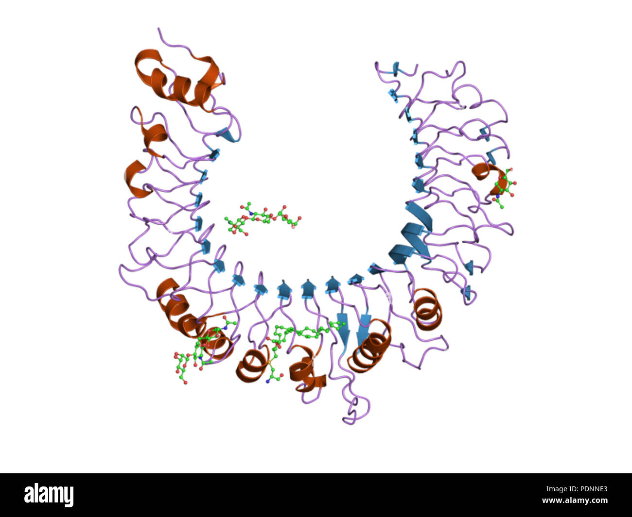 253 PDB 2z81 EBI Banque D'Images