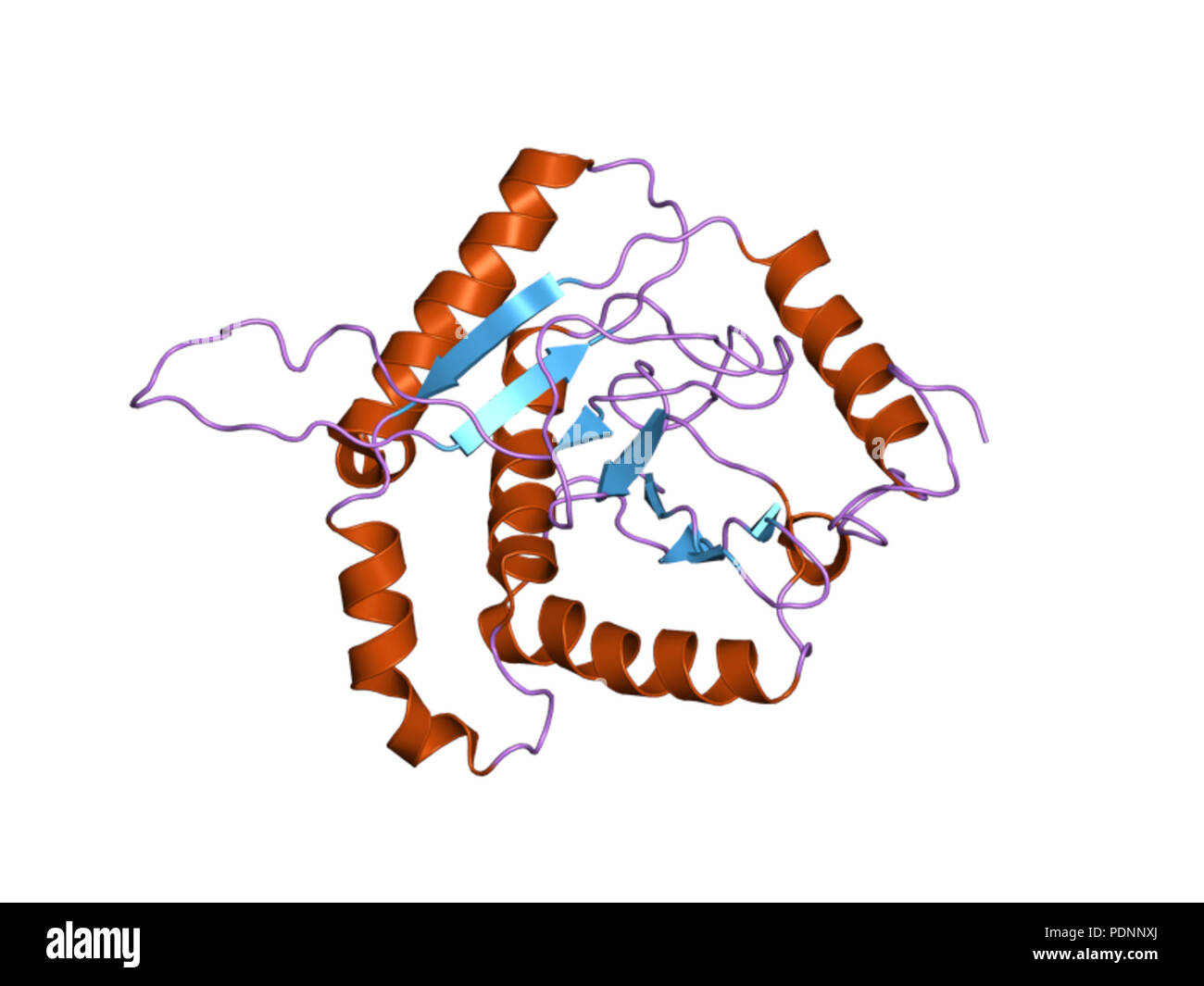 258 PDB 3b8k EBI Banque D'Images