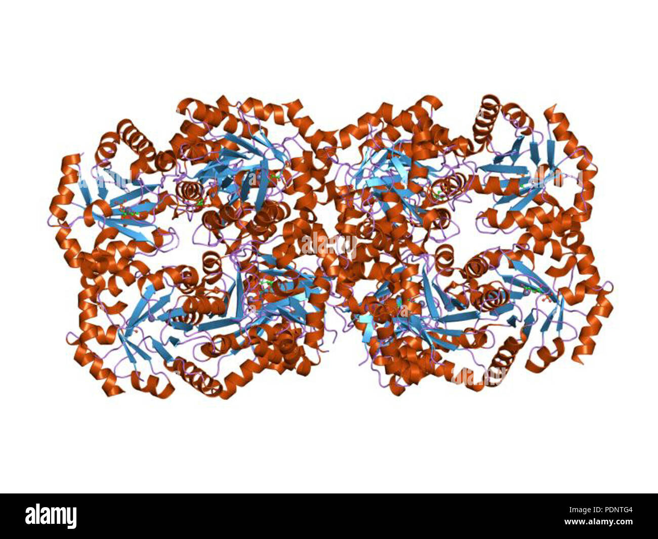 188 PDB 2EBI fli Banque D'Images 188 PDB 2EBI fli Banque D'Images