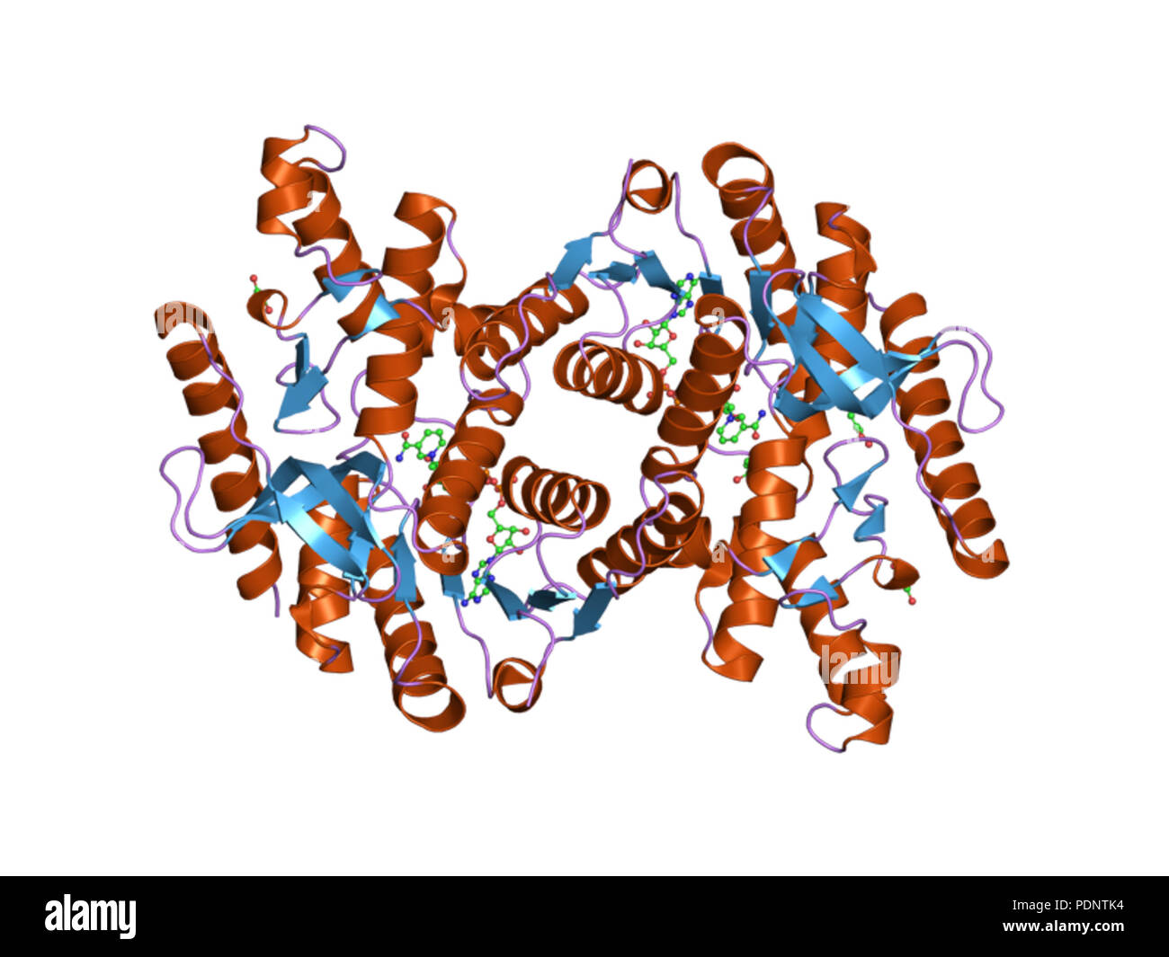 188 PDB 2fn7 EBI Banque D'Images