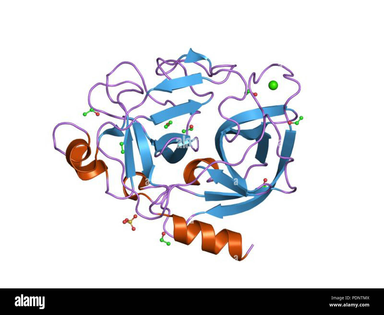 189 PDB 2EBI fod Banque D'Images