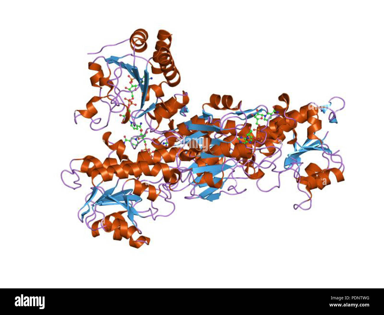 189 PDB 2frd EBI Banque D'Images