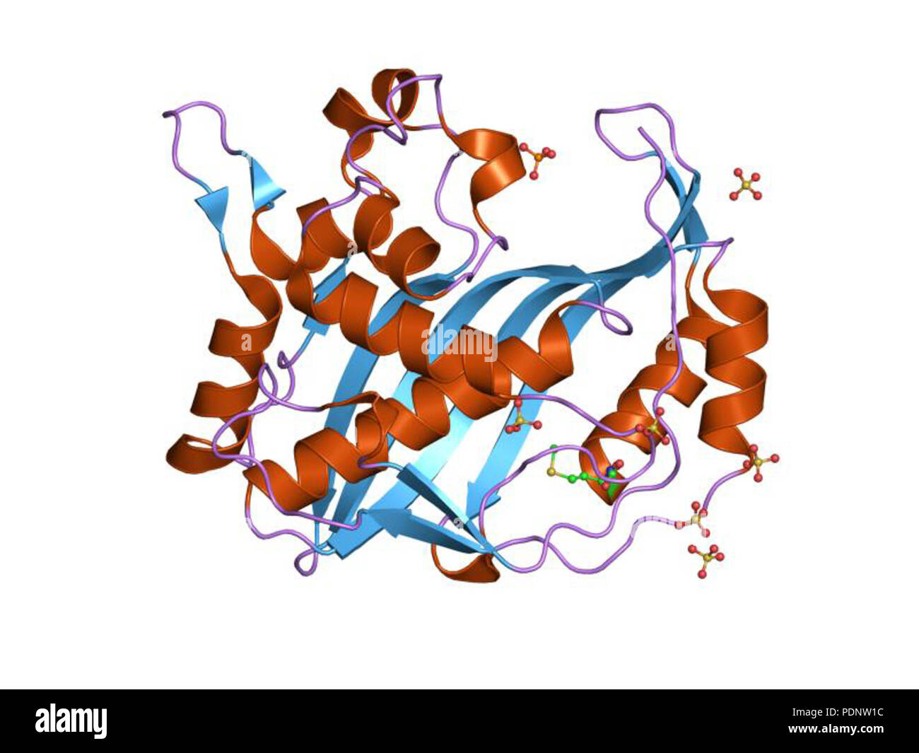 EBI 189 PDB 2ftq Banque D'Images EBI 189 PDB 2ftq Banque D'Images