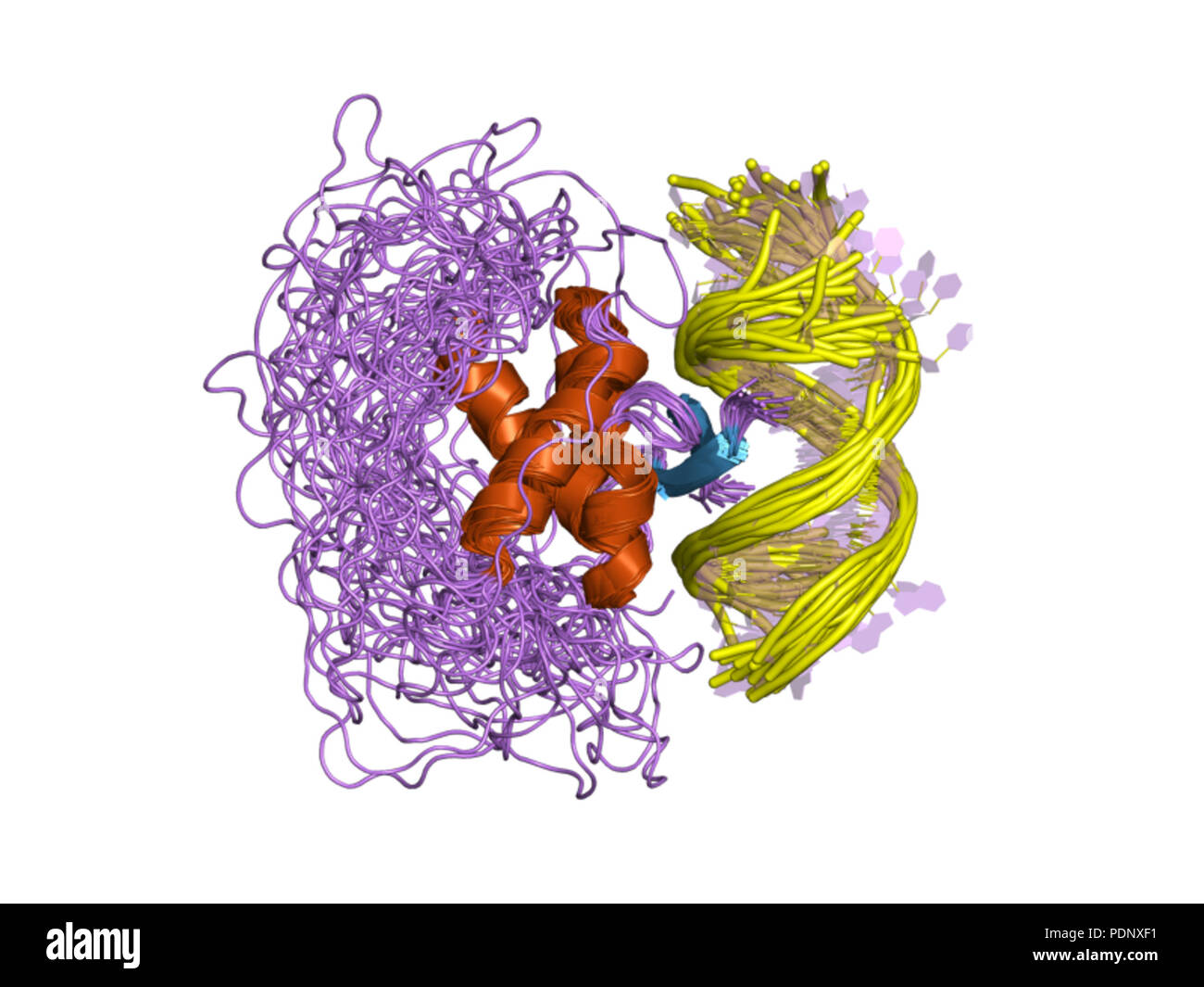197 PDB 2h3c'EBI Banque D'Images