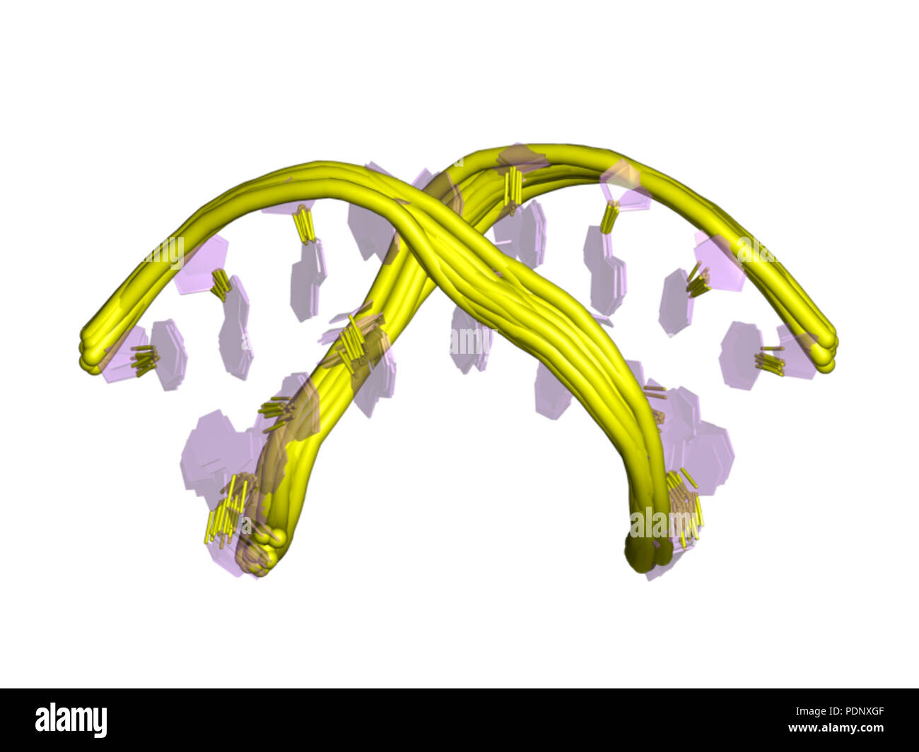 197 PDB 2h49 EBI Banque D'Images