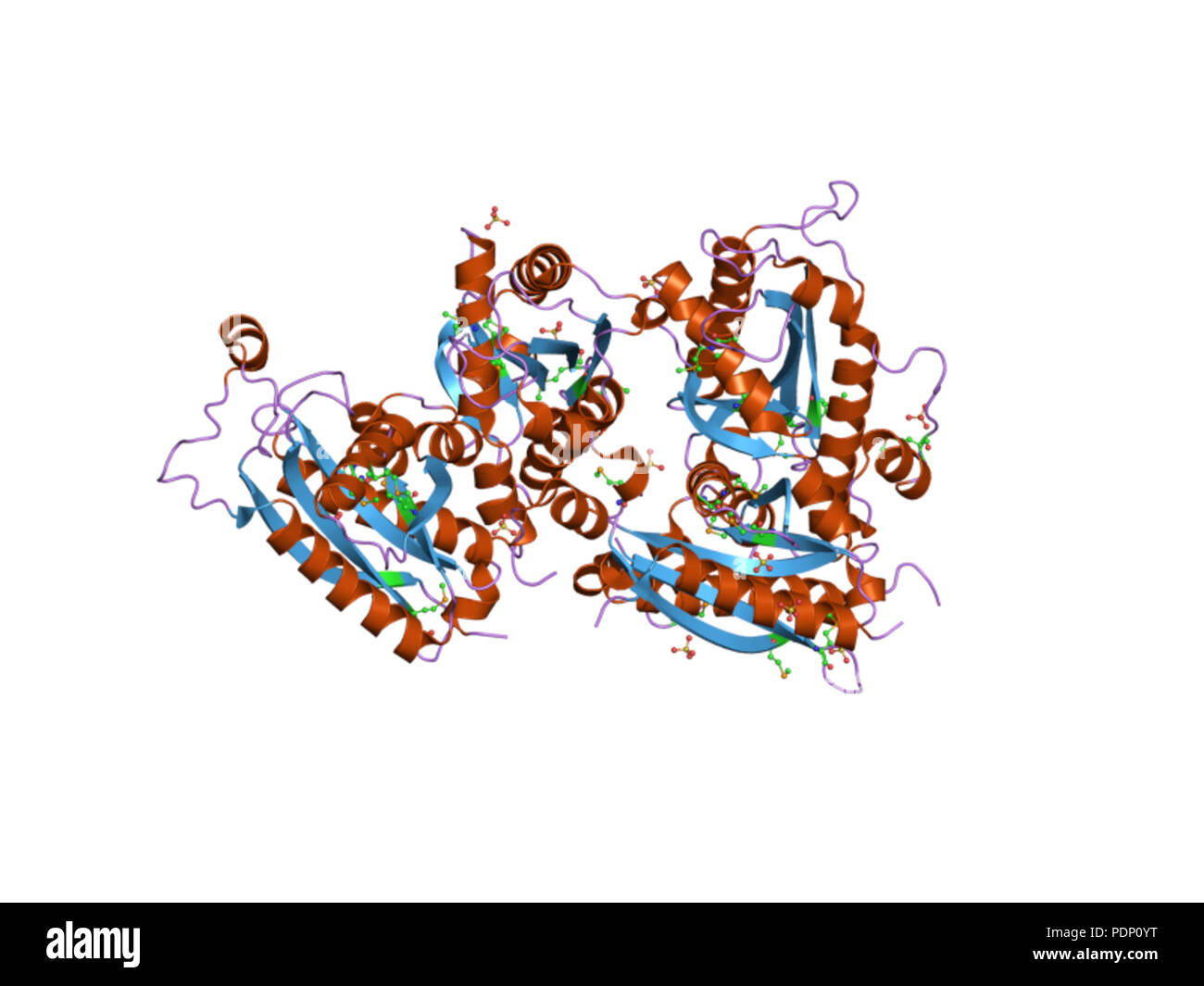 206 PDB 2est EBI3 Banque D'Images