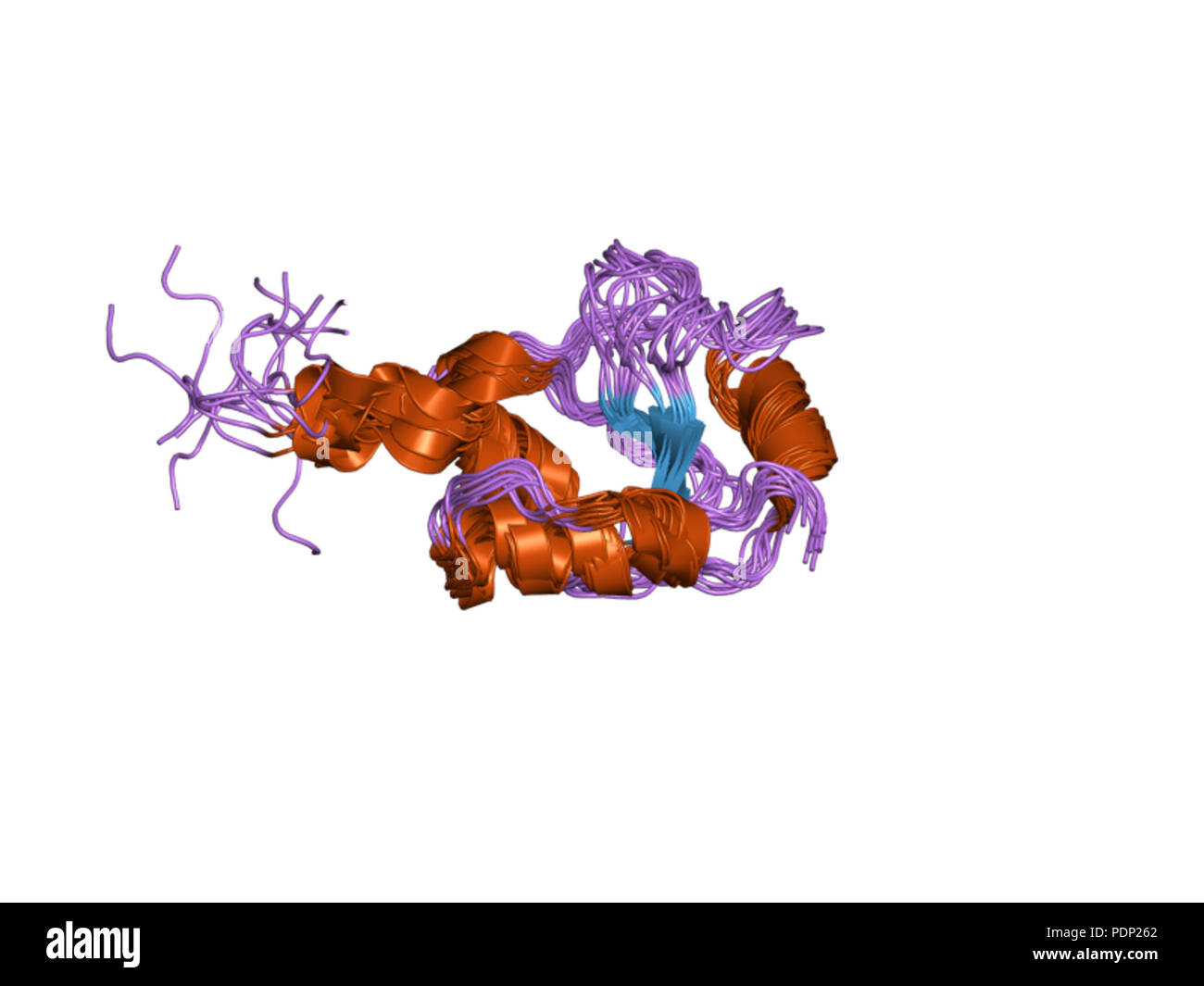 212 PDB 2jw5 EBI Banque D'Images