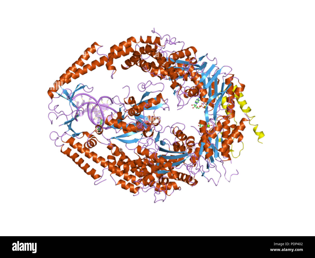 219 PDB 2o8c'EBI Banque D'Images