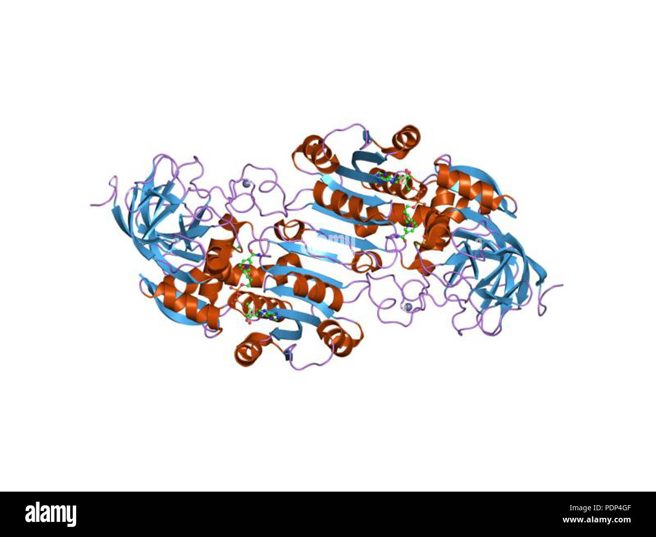 221 PDB 2EBI ohx Banque D'Images