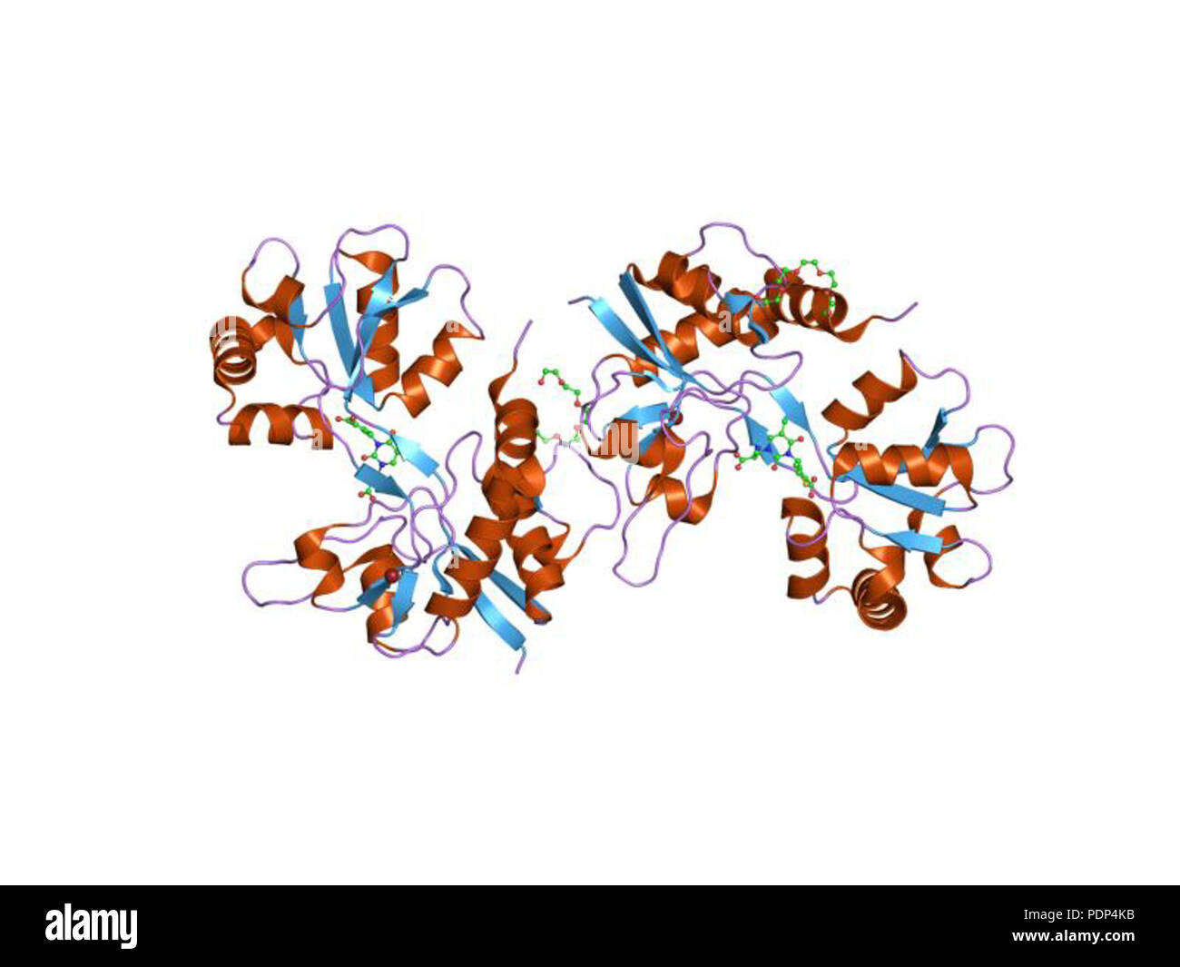 221 PDB 2EBI OJT Banque D'Images