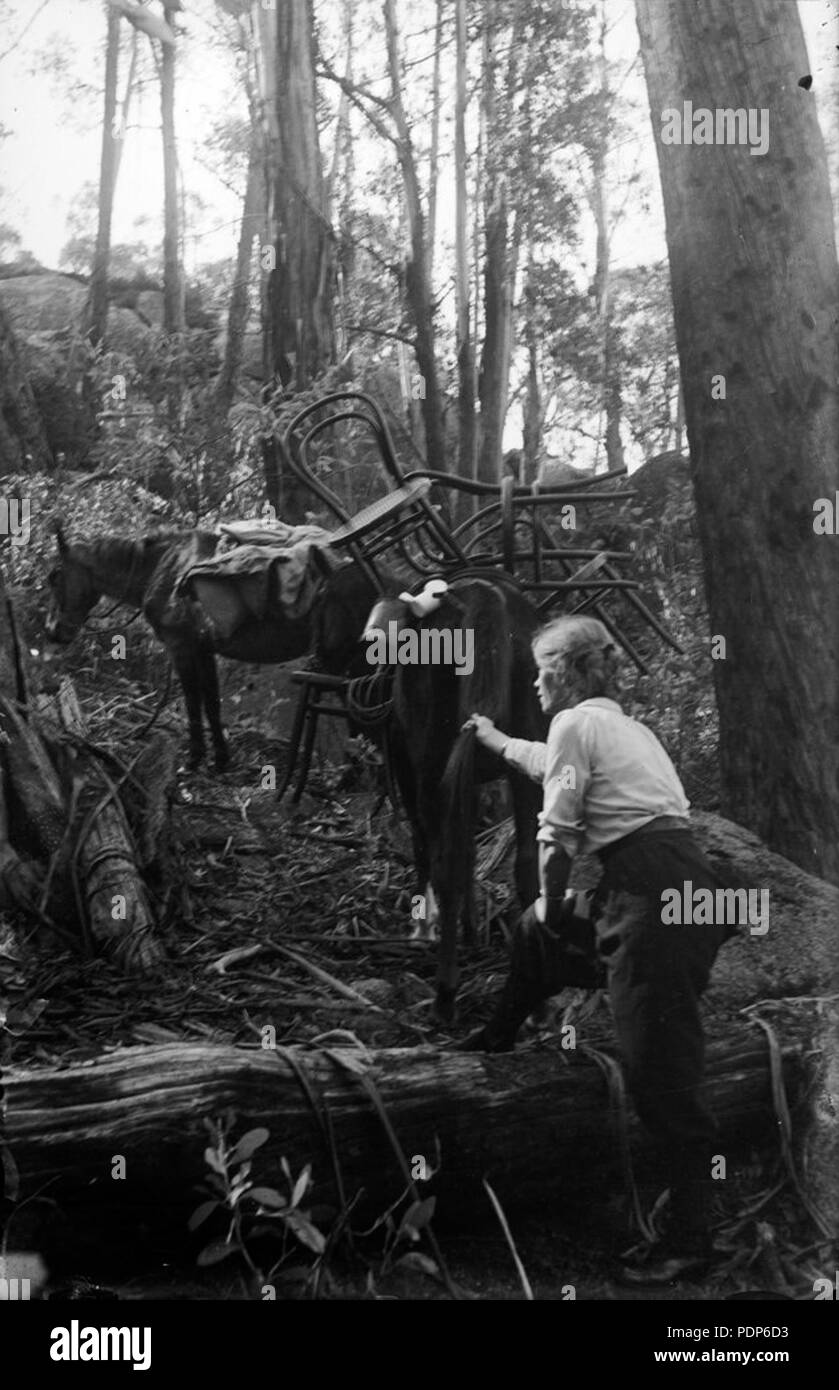 Guide 53 Alice sur Mt Buffalo avec pack horse, c1912 Banque D'Images Guide 53 Alice sur Mt Buffalo avec pack horse, c1912 Banque D'Images