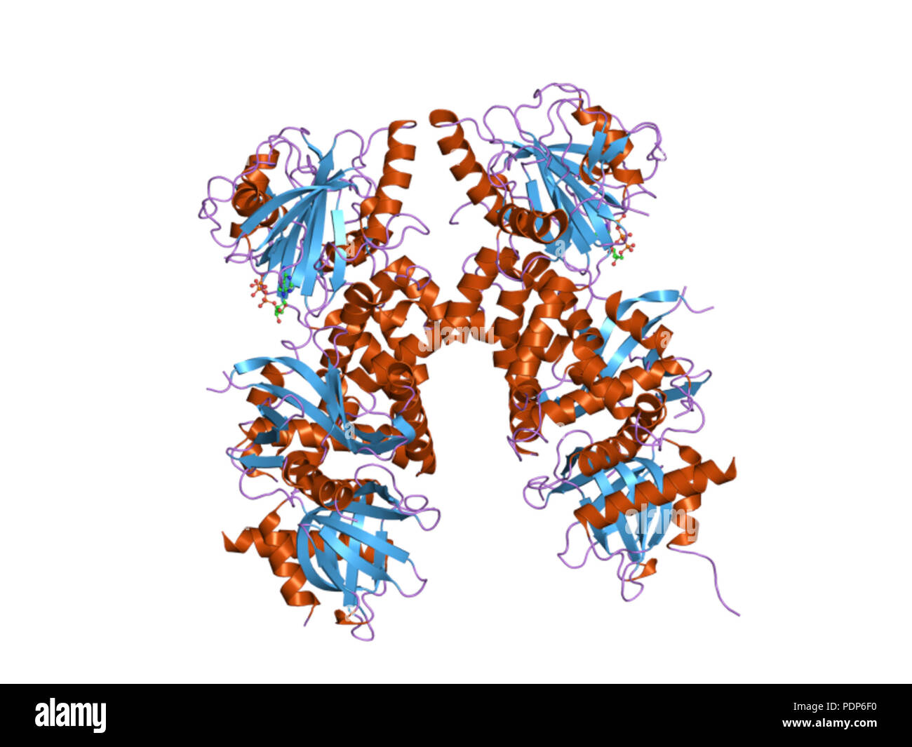 233 PDB 2EBI qkm Banque D'Images