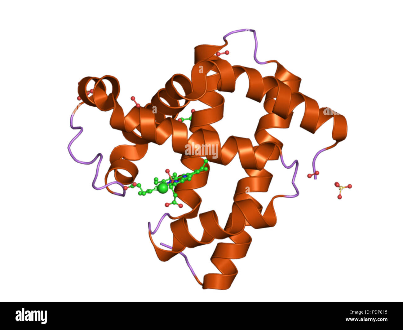 246 PDB 2vm0 EBI Banque D'Images