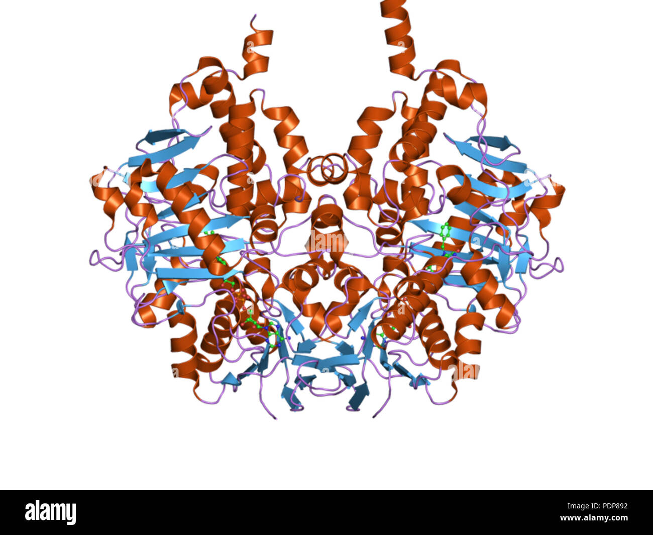 247 PDB 2BRV EBI Banque D'Images