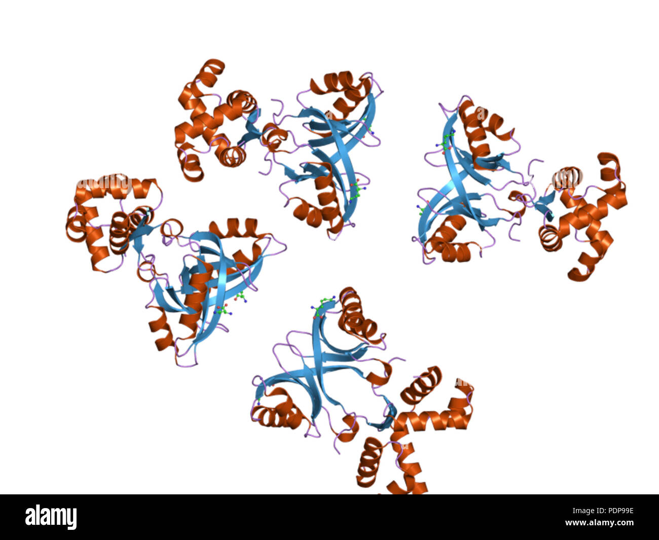 255 PDB 2znz EBI Banque D'Images