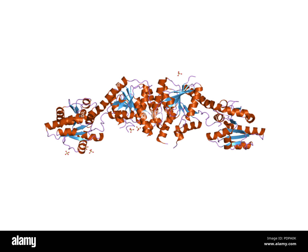 263 PDB 3c48 EBI Banque D'Images