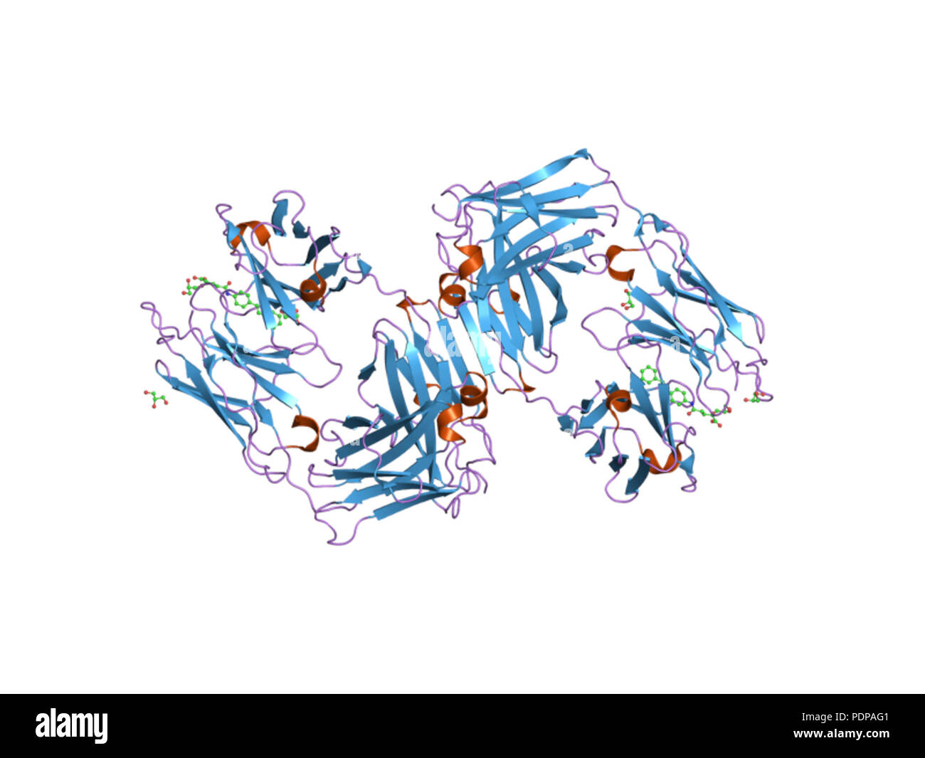 265 PDB 3BFC EBI Banque D'Images