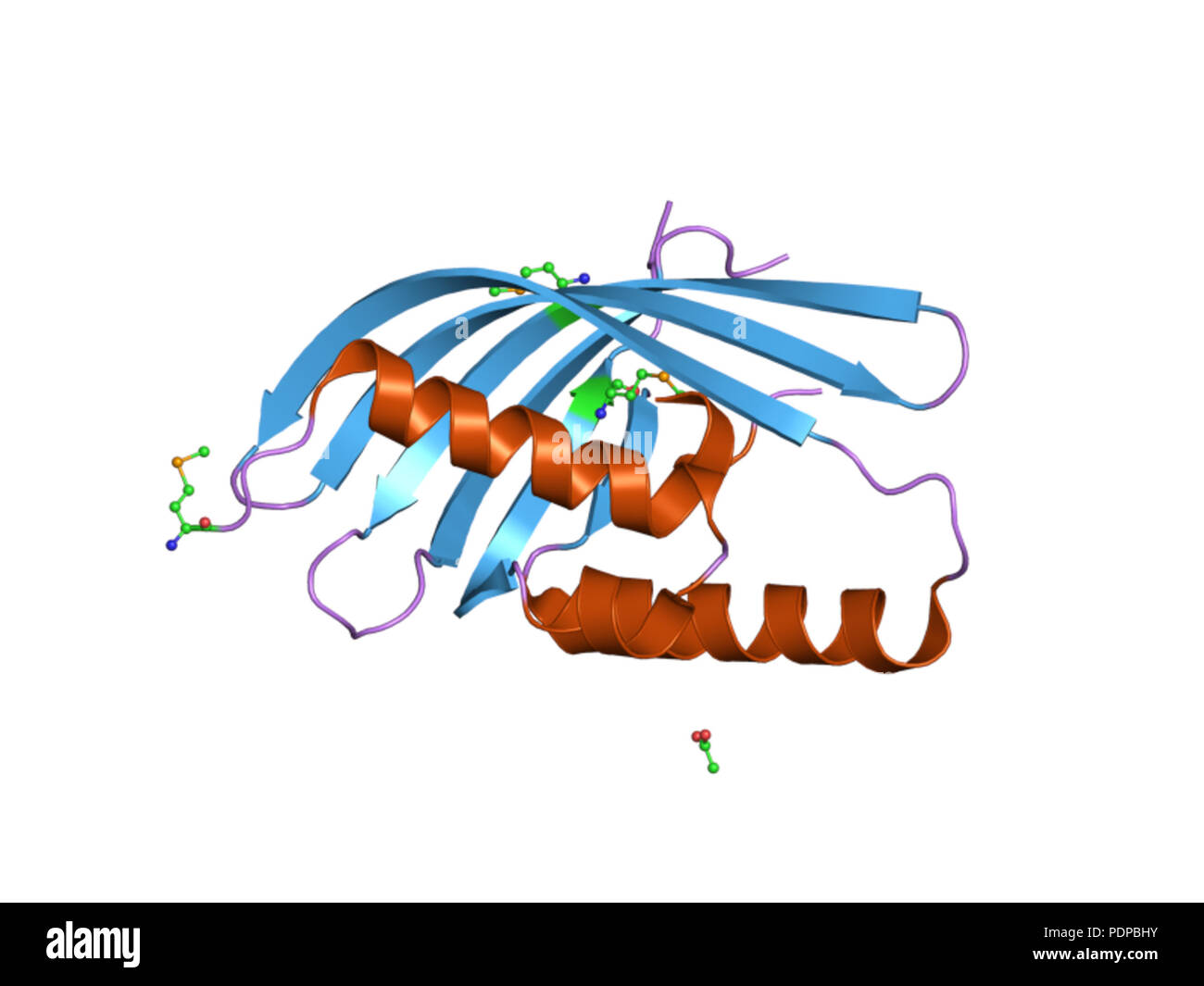 275 PDB 3e99 EBI Banque D'Images
