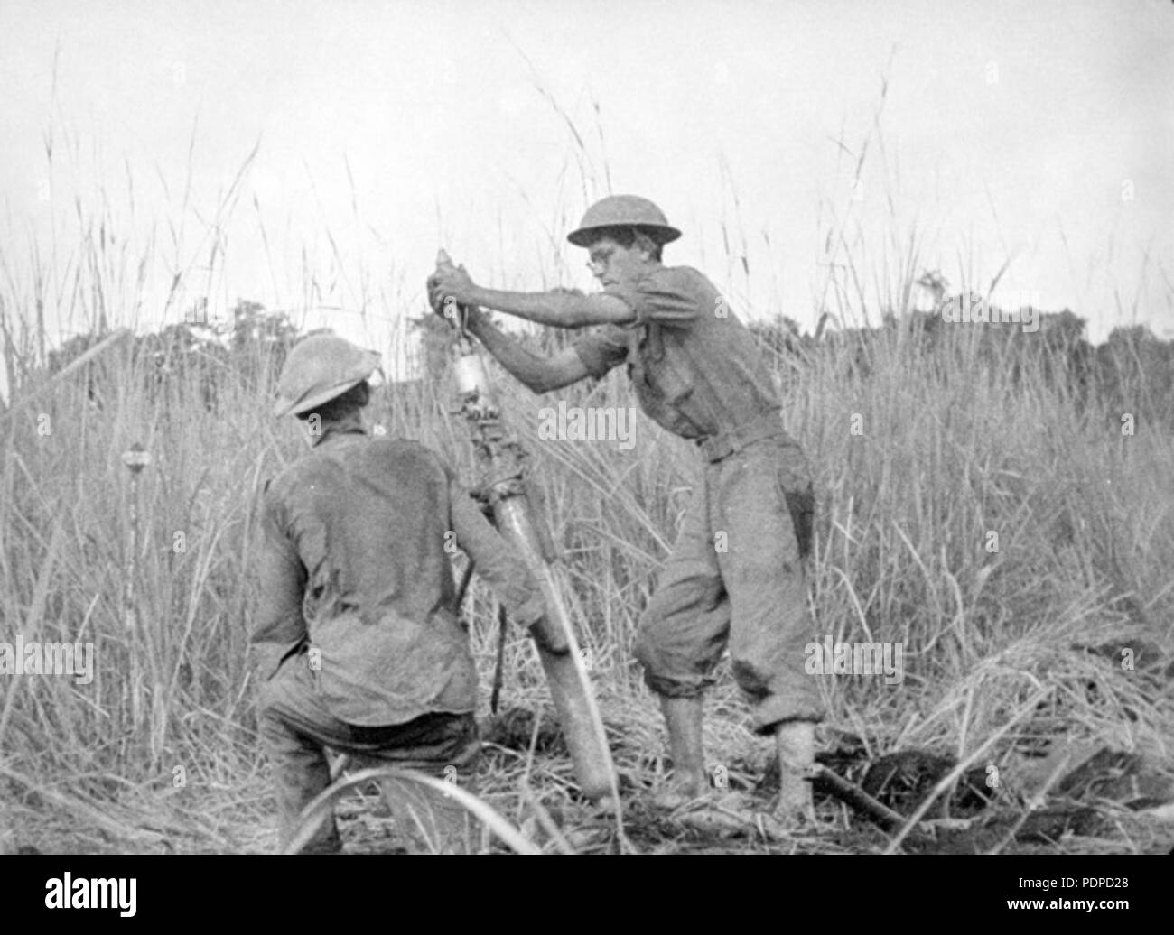 1030258063 dans le mortier Buna Banque D'Images