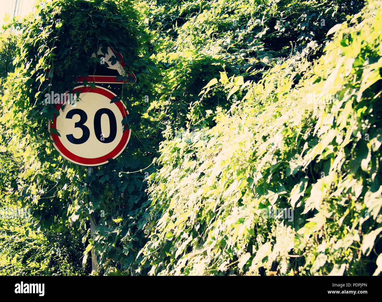 Signes d'alerte en bordure de limiter la vitesse à 30 km/h. Pour réduire les accidents fréquents. Banque D'Images