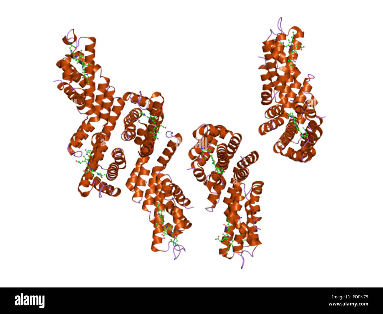 271 PDB 3dbj EBI Banque D'Images