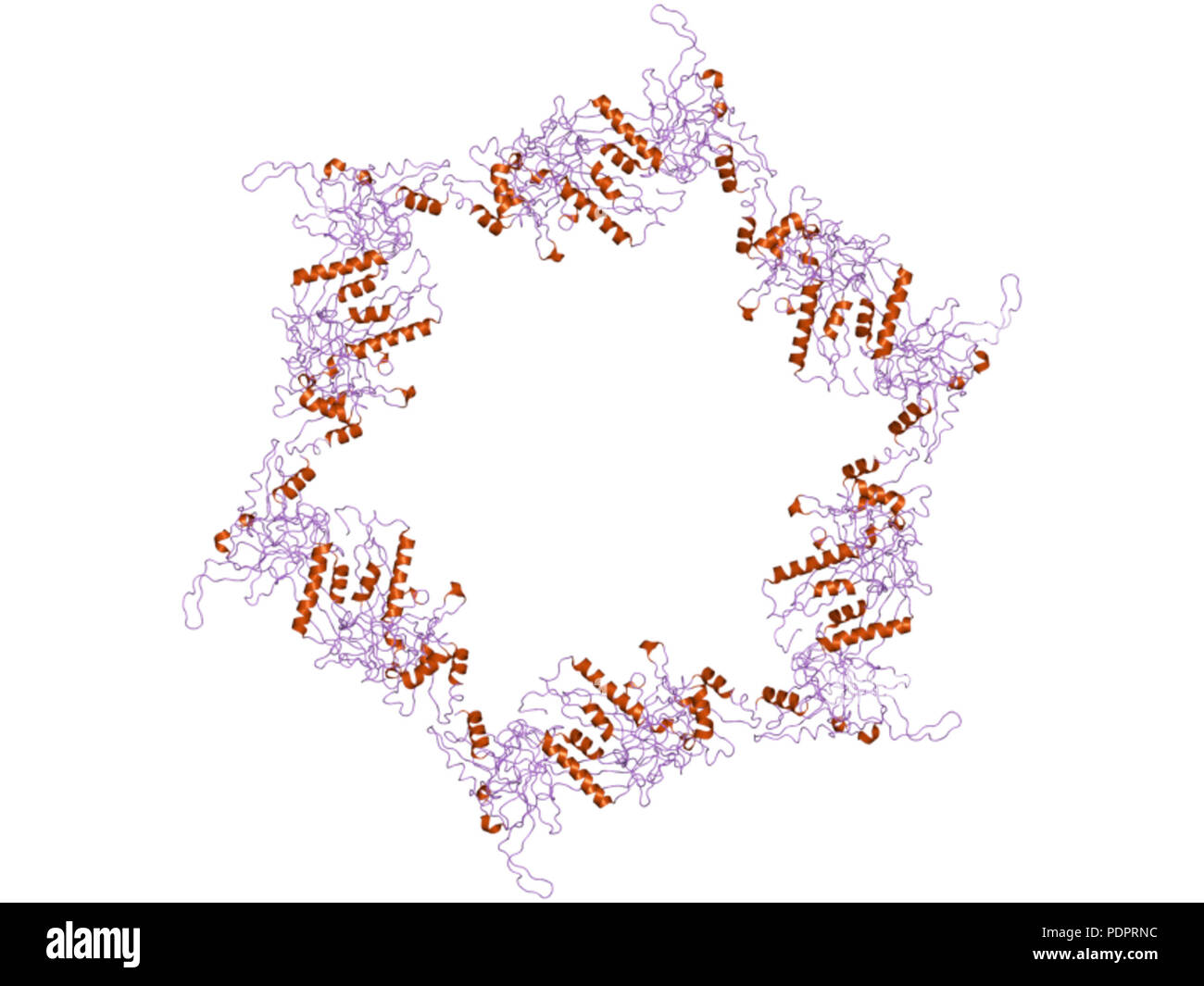 286 PDB 3h3y EBI Banque D'Images