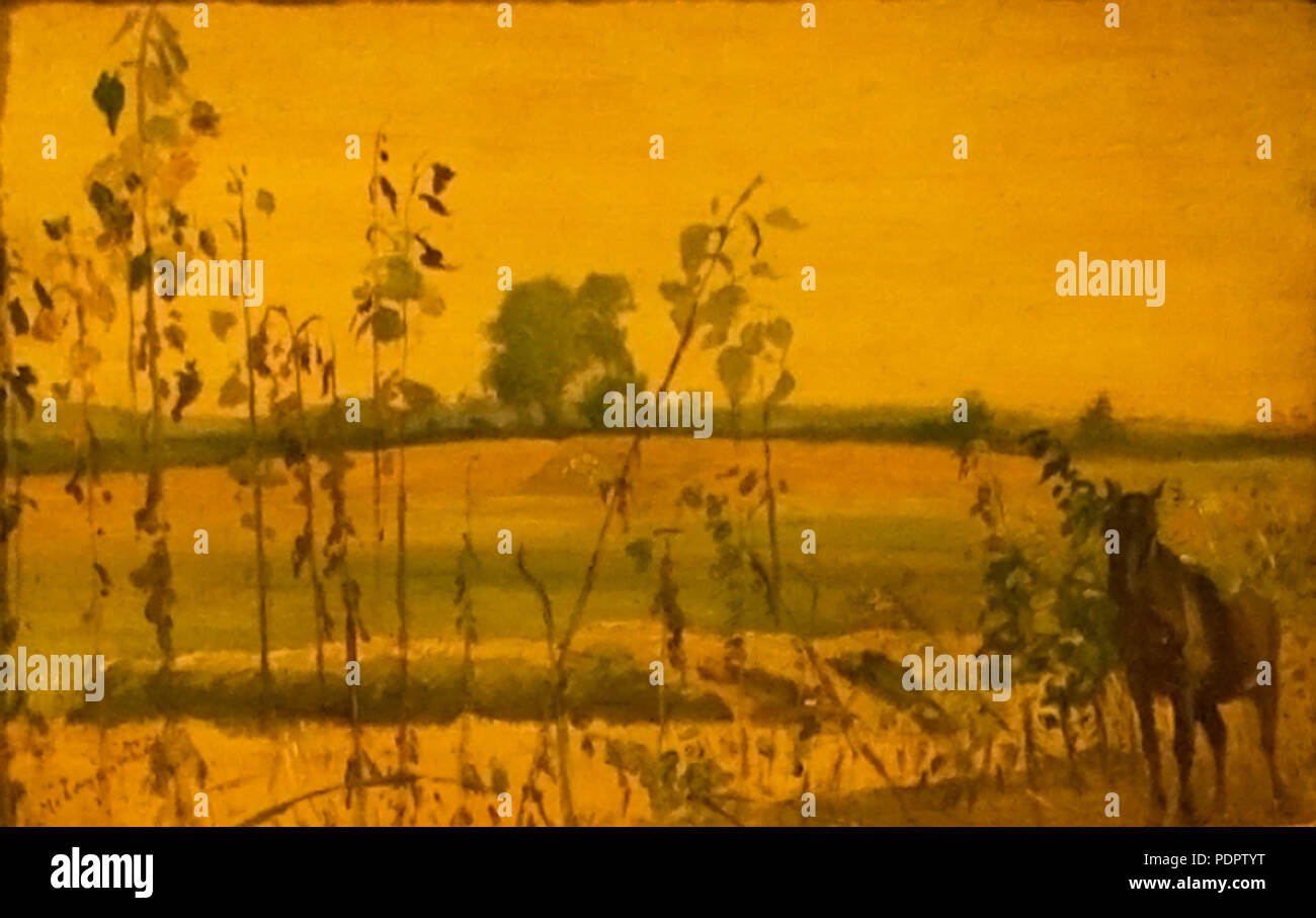17 Cheval dans un paysage Banque D'Images