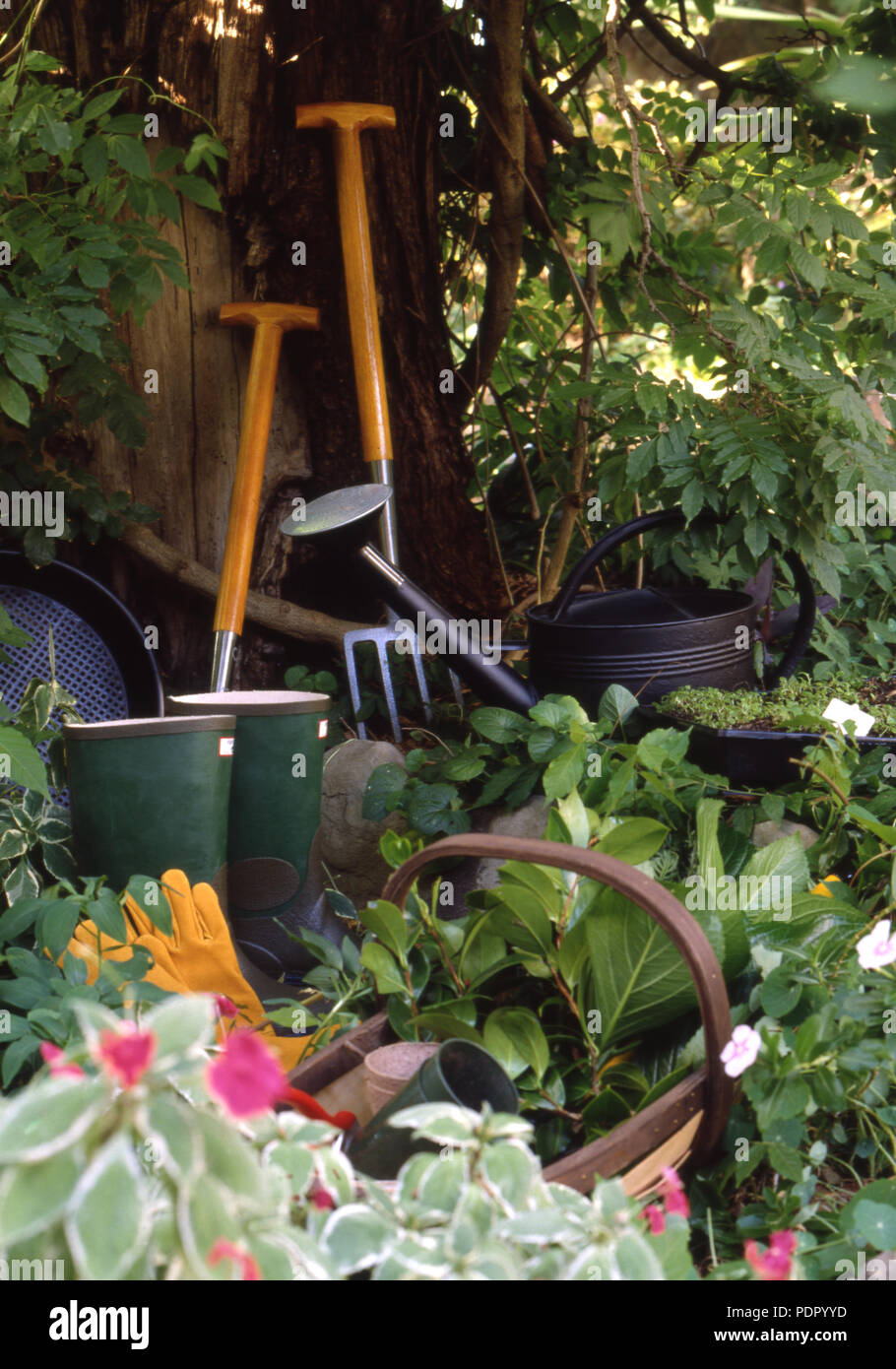 Assortiment d'outils de jardin en jardin (fourchette, chat, panier, ARROSOIR, des gants de jardinage et de l'écrêtage. Banque D'Images