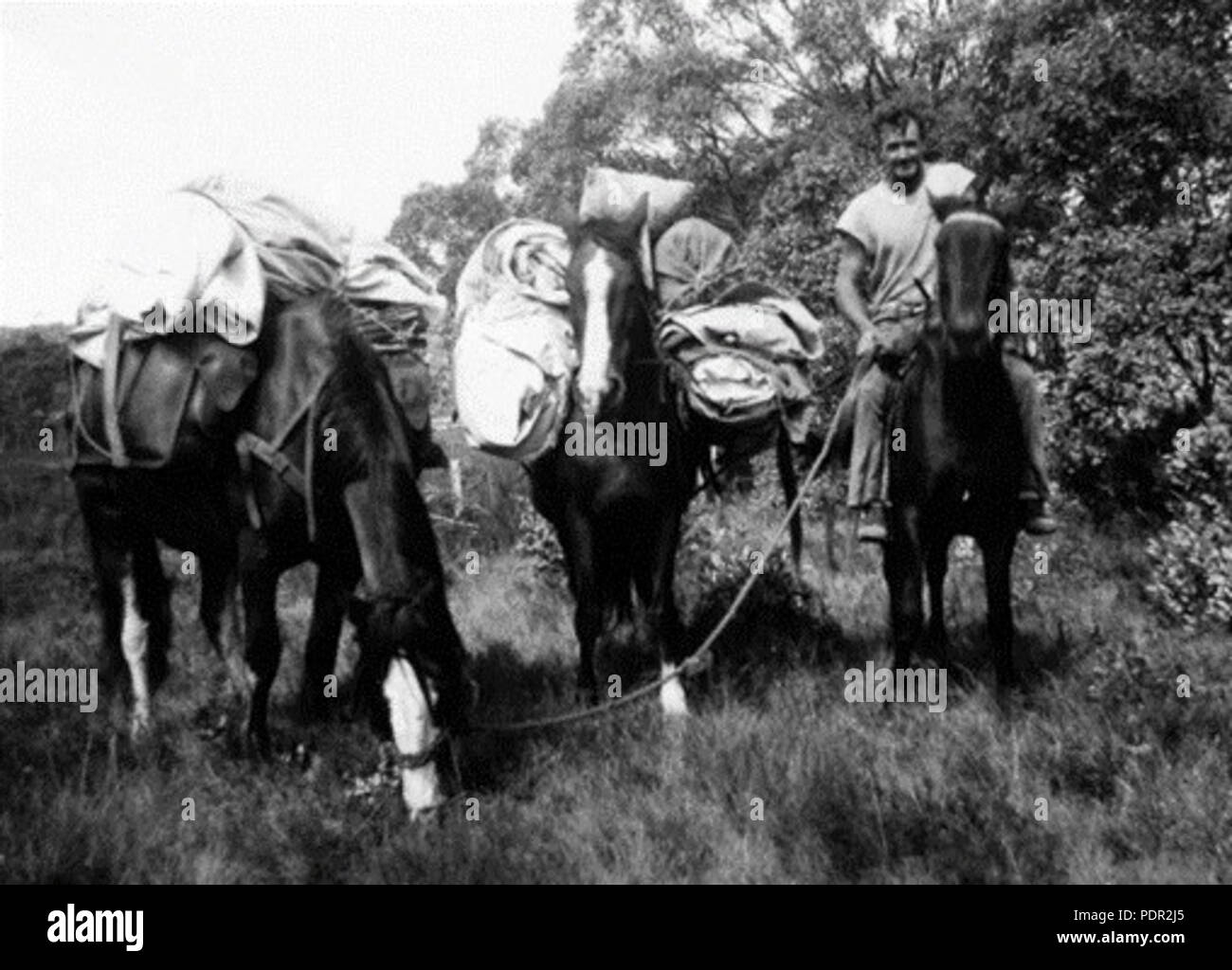 60 Holmes plain Banque D'Images