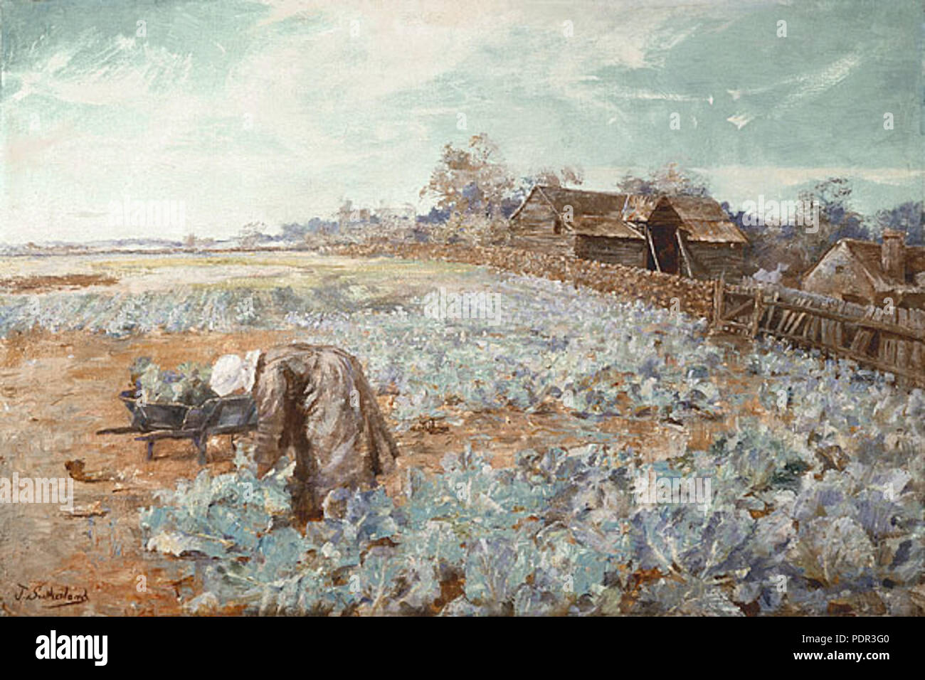 70 Jane Sutherland - un jardin de Chou, 1896 Banque D'Images