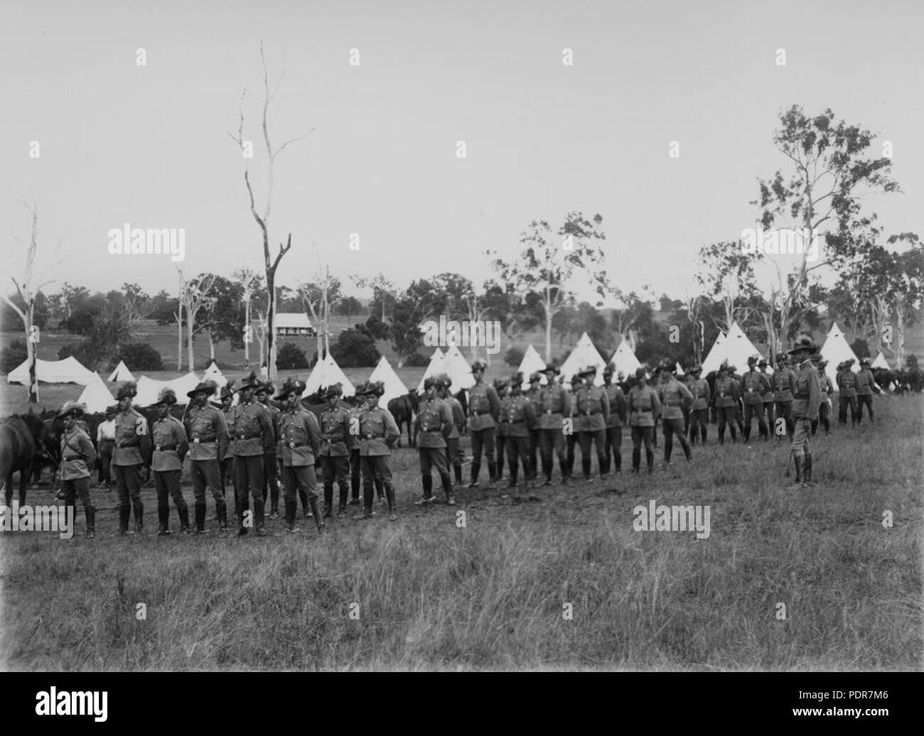 79 cavaliers légers sur le défilé dans un camp militaire près de Mundoolun, 1909 Banque D'Images