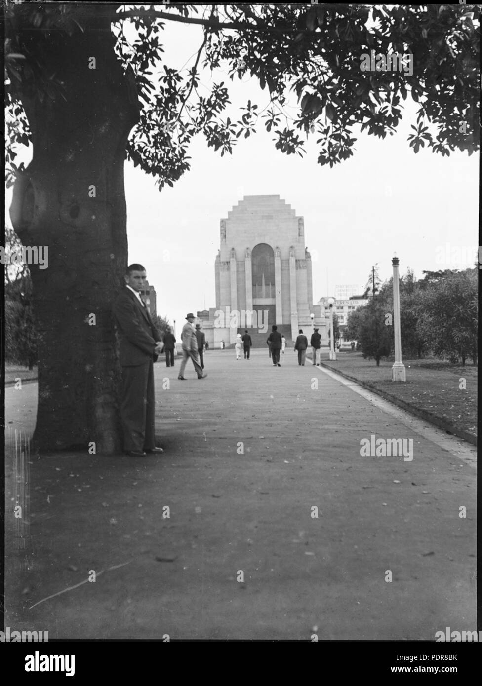 82 homme posant en vertu de l'arbre en face de l'Anzac War Memorial dans Hyde Park, Sydney (3877423894) Banque D'Images