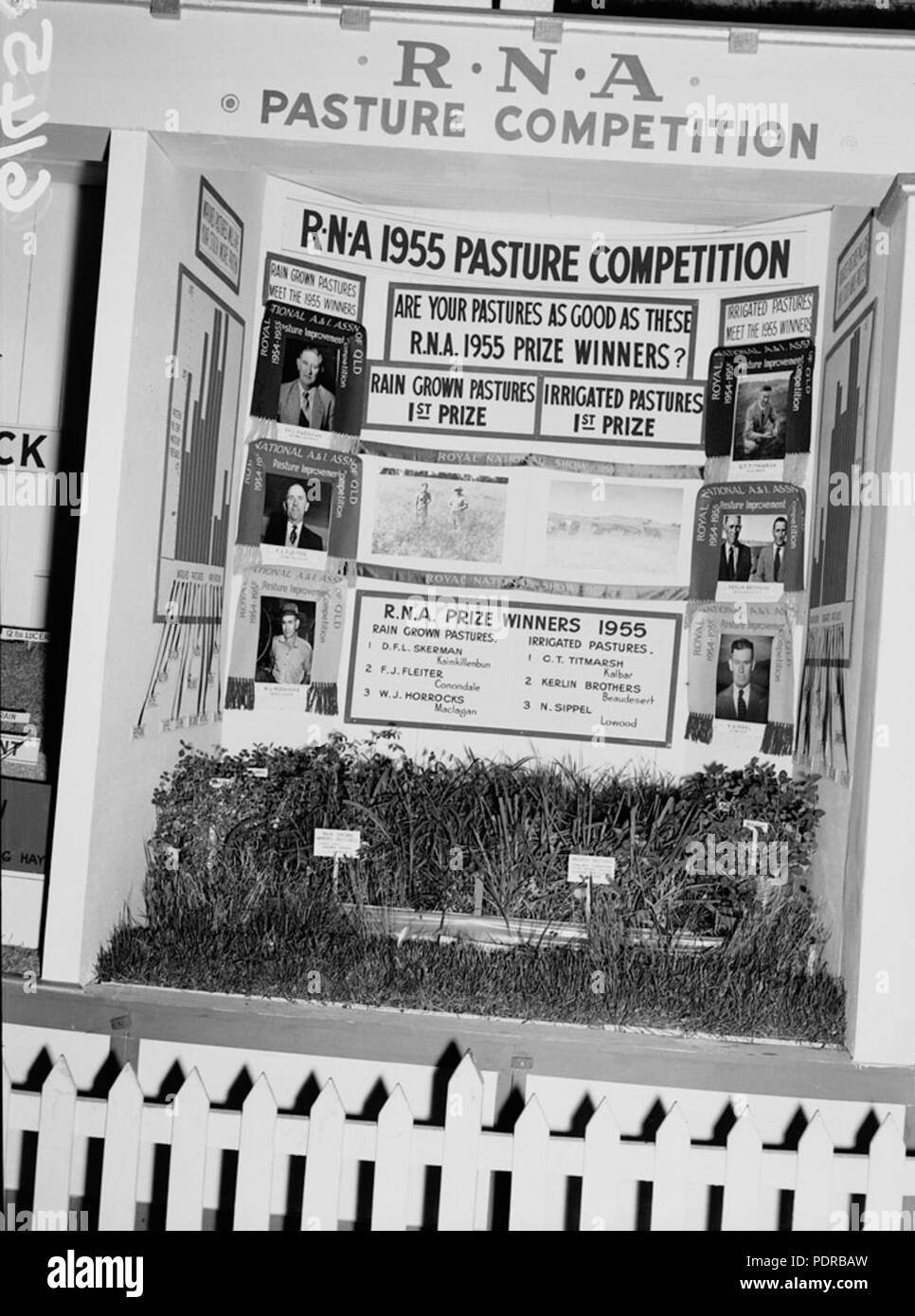 104 Archives de l'État du Queensland 1778 Ministère de l'Agriculture et de l'inventaire s'affiche à l'exposition annuelle de l'Association National Royal Brisbane Août 1955 Banque D'Images