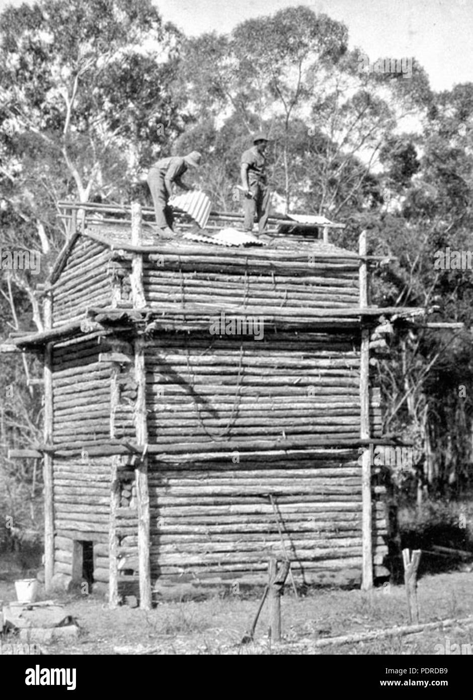 114 Archives de l'État du Queensland 4255, la culture du tabac à Beerburrum log barn 1933 Banque D'Images