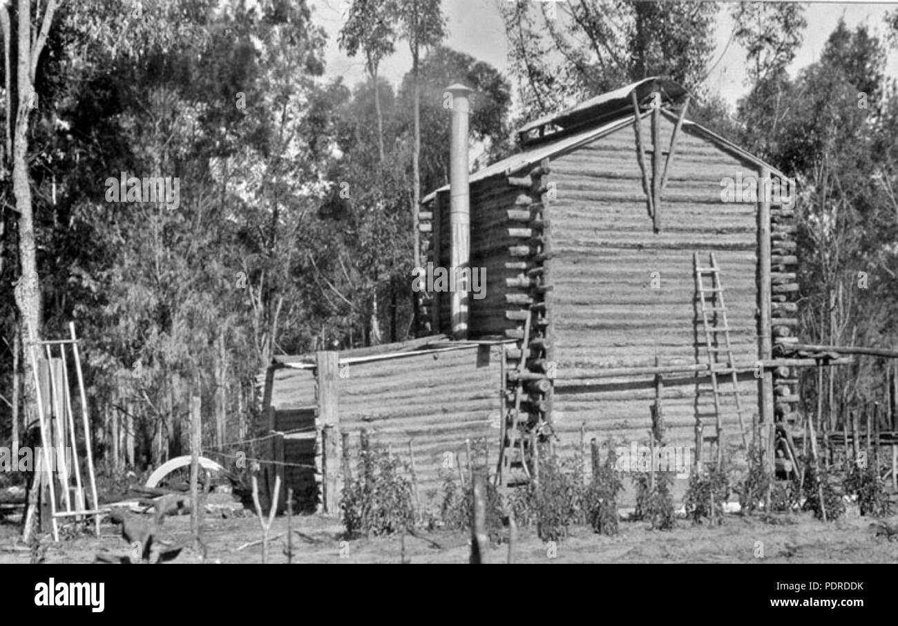 115 Archives de l'État du Queensland 4312, la culture du tabac à Beerburrum log barn 1933 Banque D'Images