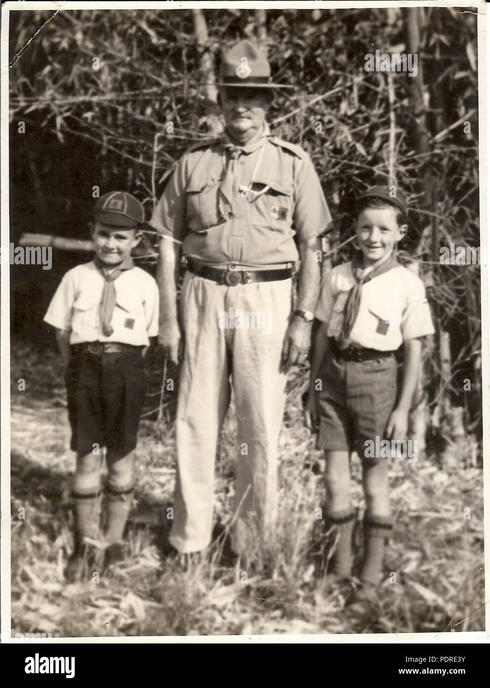 1 "Pop" W.R.Johnstone avec deux louveteaux Banque D'Images